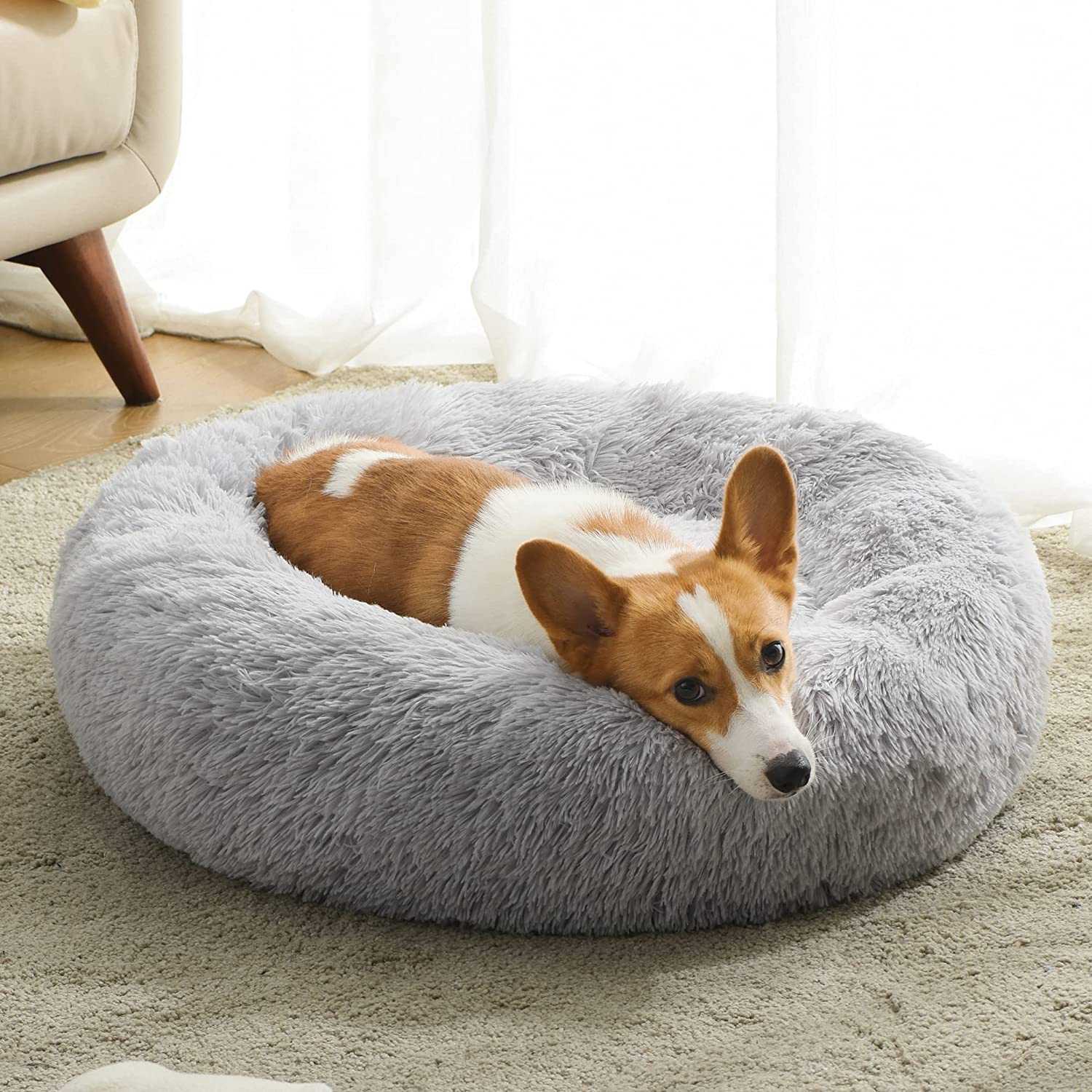 Corgi with Anti-Anxiety Dog Bed Grey