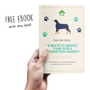 Anti-Anxiety Dog Bed eBook