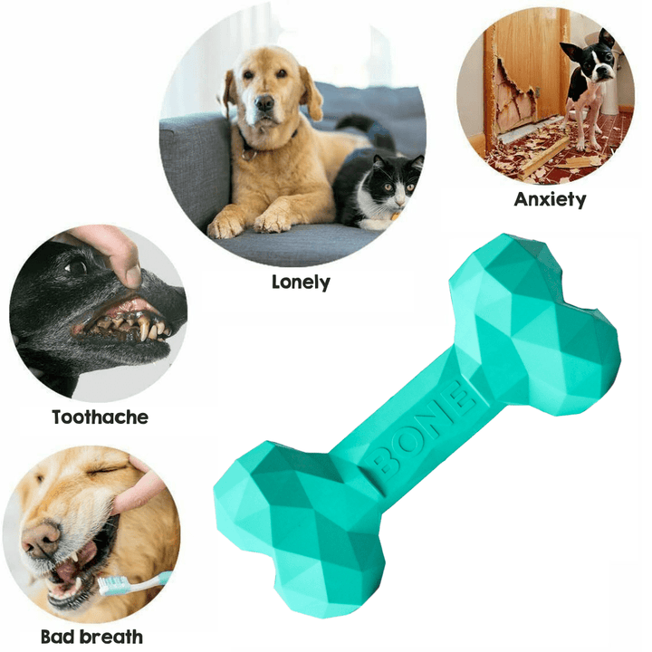 Dog Toy for Teeth Anxiety