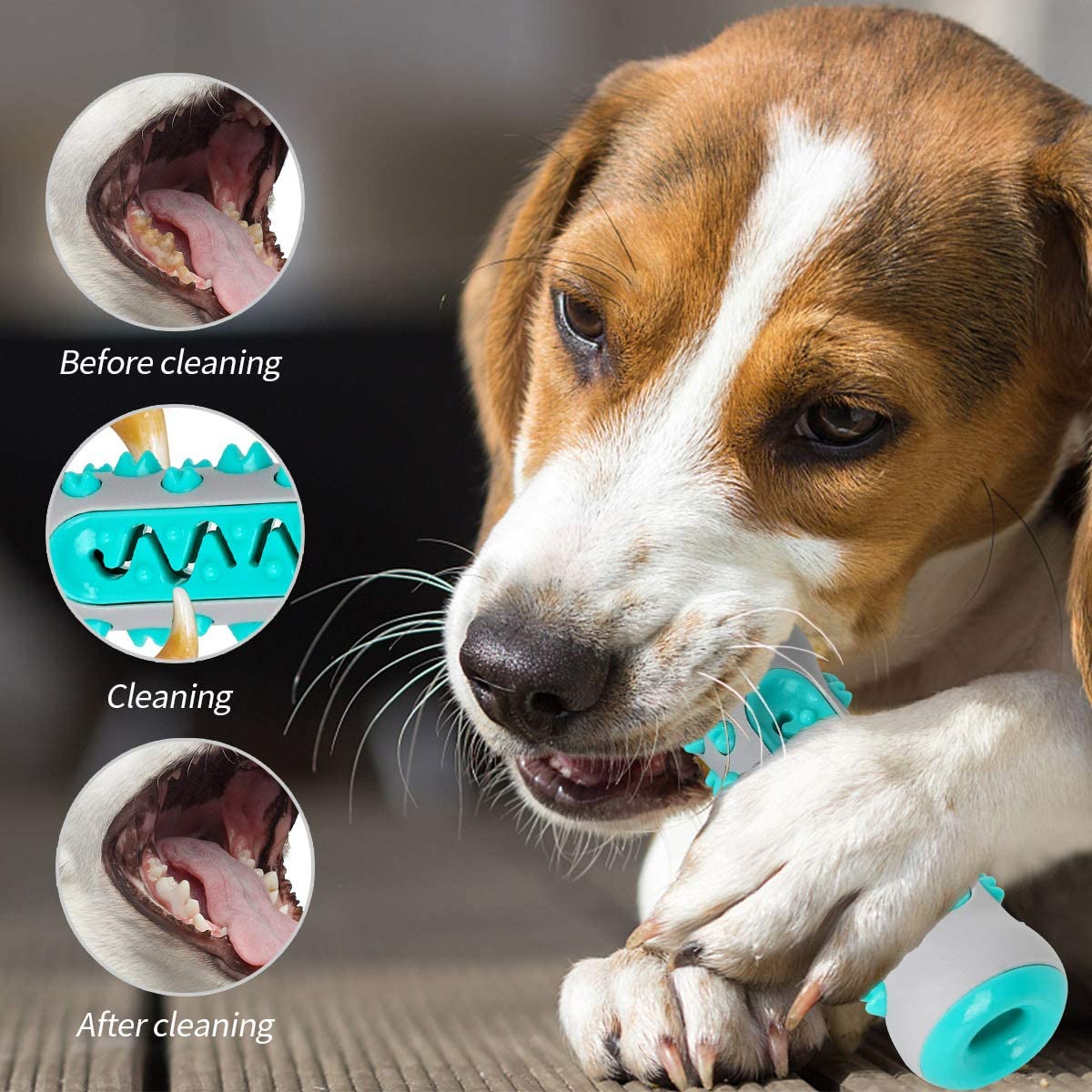 Dog toothbrush outlet toy