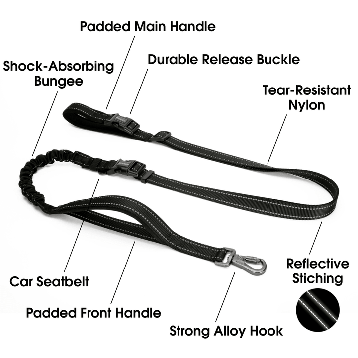 Dog Lead for Running