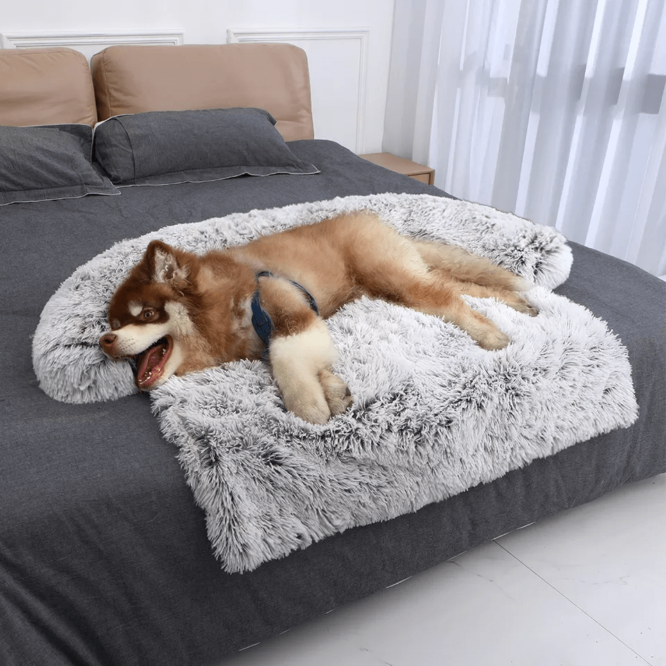 Sofa Dog Bed Furniture Protector